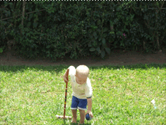 Click for Bigger Picture